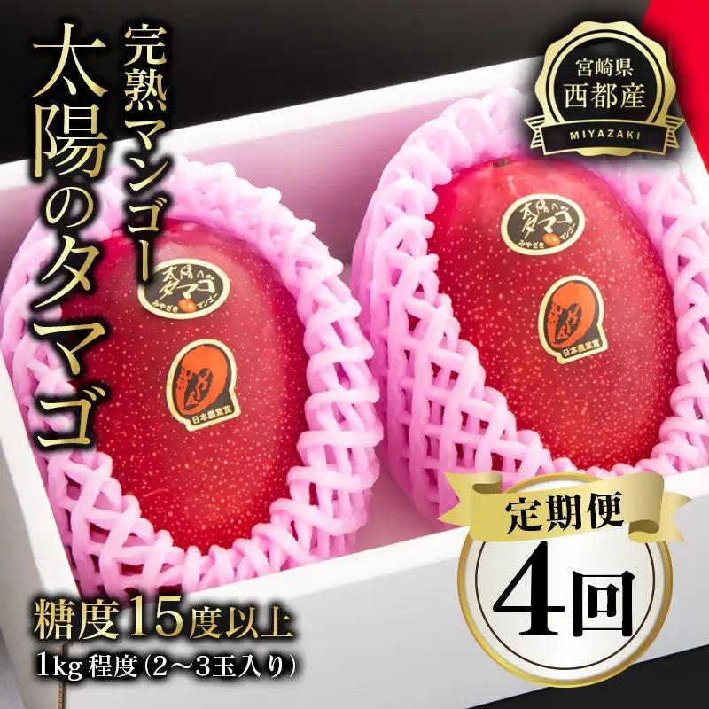 【4回定期便】2027年発送 最高級ブランド「太陽のタマゴ」900g～1kg程度×4回 西都市産完熟マンゴー【先行予約】宮崎完熟マンゴー＜1-11a＞