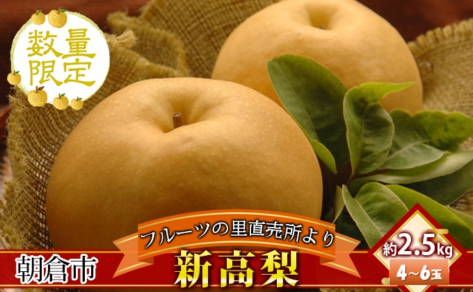 フルーツの里の直売所より 新高梨 2.5kg