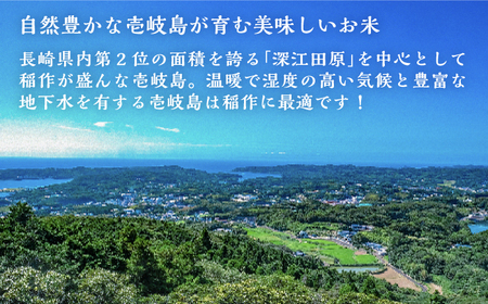 壱岐産 こしひかり 10kg 《壱岐市》【壱岐市農業協同組合】 米 お米 ご飯 お弁当 常温発送[JBO145]