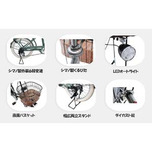 ヱビス自転車 フィデース206CST 20インチ小径自転車 シマノ製外装6段変速　電動なし（レトロ感 シマノ製ローラーブレーキ LEDオートライト ）【プレミアムホワイト】
