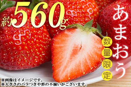 エコファーマー認定農家直送！福岡県産あまおう【280g×2パック】 2Z5