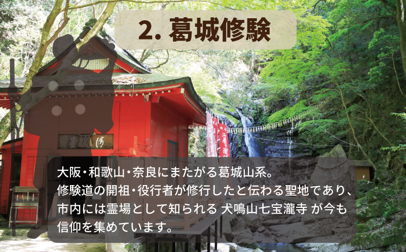 【返礼品なし】3つの日本遺産を核とする史跡等保存応援寄附（大阪府泉佐野市） ON0006