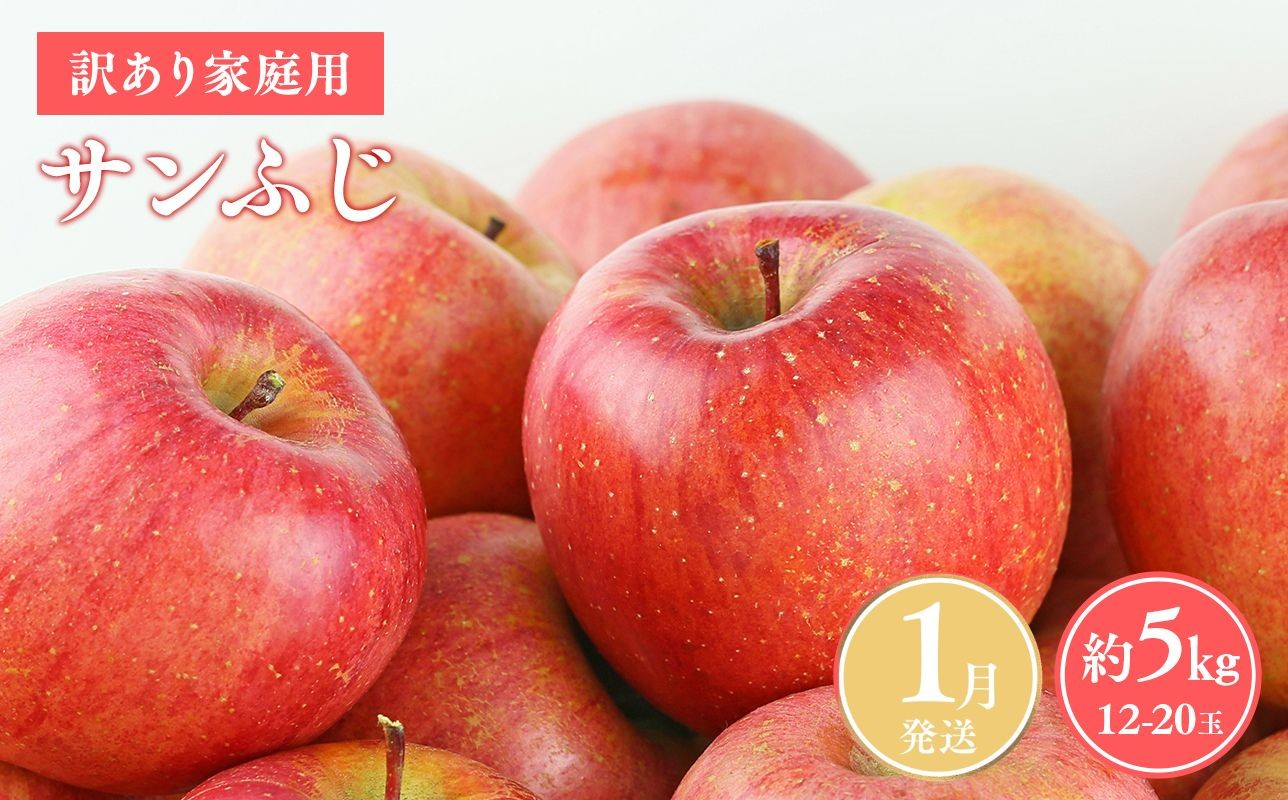 
                  ≪令和8年産先行受付≫令和9年1月発送! 訳あり 家庭用サンふじ約5kg 青森県平川市産
                