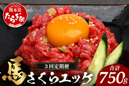 【 定期便 3回 】 熊本県 馬さくらユッケ 250g （ 50g × 5 ） × 3回 【 合計 750g 】 【 馬刺し 本場 熊本 馬さし 小分け ユッケ 冷凍 真空 熊本 肥育 ヘルシー 赤身