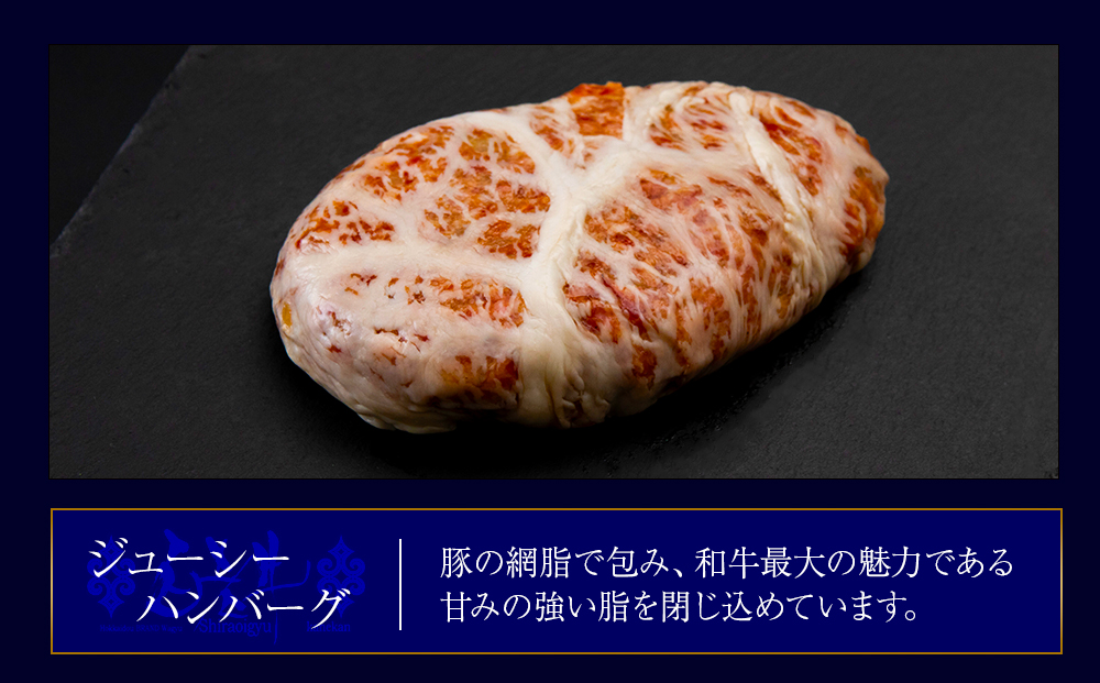 定期便6カ月 お楽しみ 白老牛 ジューシー ハンバーグ セット 5個 網脂 特製ソース 手造り 手ごね BY098_イメージ3
