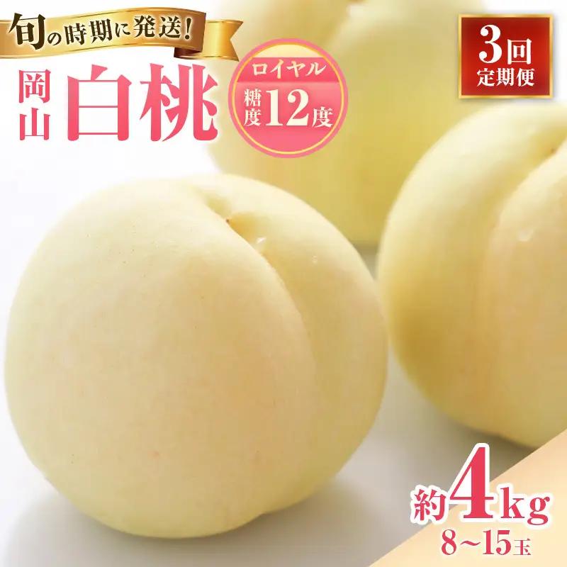 白桃 定期便 3回 ロイヤル 8～15玉 約4kg 大玉 岡山 白桃