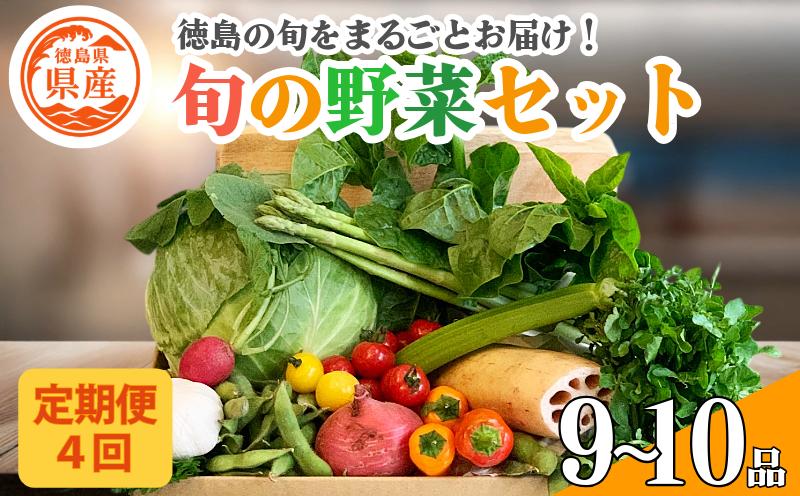 野菜 セット 9～10品 定期便 4回 季節 旬 野菜 詰め合せ 国産 季節 旬 おまかせ 産地直送 春野菜 夏野菜 秋野菜 葉物 果物 果菜 根菜 冷蔵 野菜室 ダイエット 食 栄養食 加工品 カット野菜