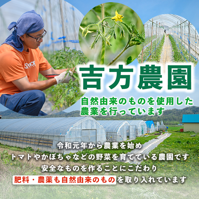 ＜全6回定期便＞濃厚！トマトジュース (1L×2本×6回・計12本) トマト トマトジュース ジュース 塩分不使用 100%果汁 野菜 フルティカ 飲料 定期便 【吉方農園】【E7095】