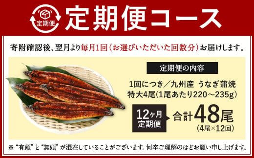 【12ヶ月定期便】九州産 うなぎ蒲焼 特大4尾 (1尾あたり220～235g)