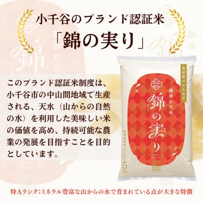 ふるさと納税 小千谷市 【毎月定期便】魚沼産コシヒカリ 小千谷市ブランド認証米「錦の実り」特Aランク 精米10kg全3回 |  | 03