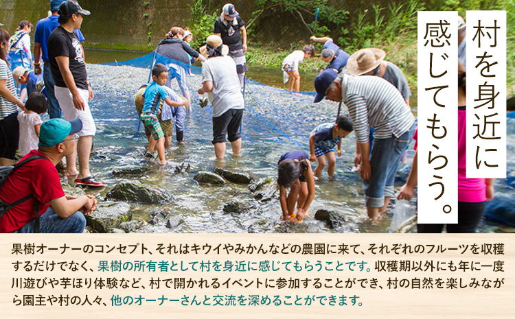 令和8年度果樹オーナー権（ブルーベリー）
