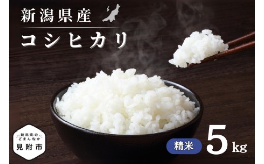 
                  令和7年産 新潟県産 コシヒカリ 5kg 精米 米 お米 白米 コシヒカリ こしひかり おすすめ 人気 こめ コメ 新潟 見附 見附市 7年 2025年産 ふるさと納税 諸長
                