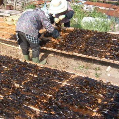 天然板わかめ　40g入×3袋【1665885】