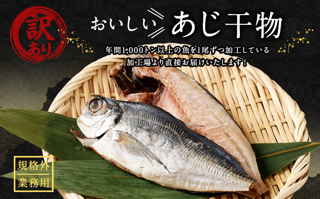 訳あり規格外 業務用あじ干物 1.9kg