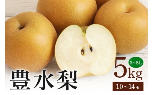 豊水梨 箱込約 5kg（JA新ひたち野）梨 約 10玉 ～ 14玉 品種 豊水 なし ナシ 果物 フルーツ 大玉 5L 4L 3L サイズ 5キロ 8月 9月 発送 夏 秋 旬 産地直送 農家直送 産直 国産 くだもの 甘い 糖度 茨城県産 茨城県 石岡市 (B01-010)