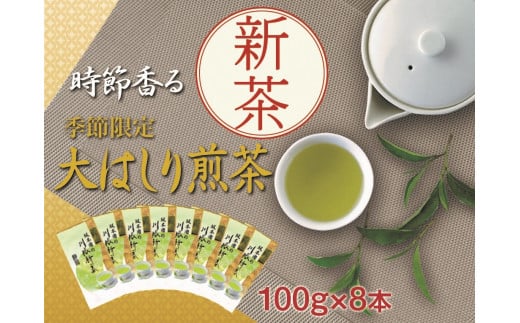 43-5 新茶 静岡川根茶大走り新茶100g×8本