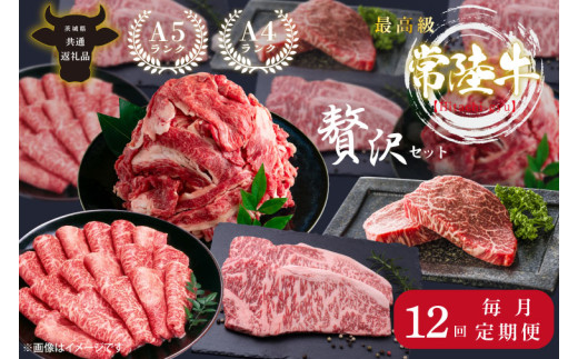 【定期便特別価格】【12回定期便】最高級A4.A5ランク 常陸牛贅沢セット(頒布会)【人気肉 お肉 牛肉 和牛 黒毛和牛 国産黒毛和牛 ロース肉 ステーキ 国産牛 焼肉 焼き肉 バーベキュー BBQ A5 ブランド牛】（CR114）