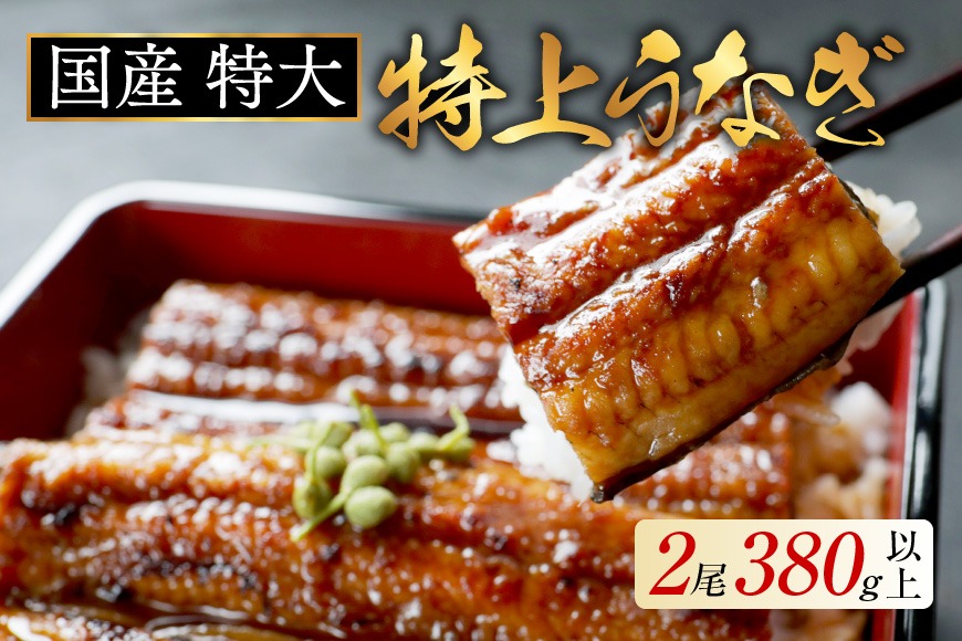 （6月発送）国産　特大　特上うなぎ 2尾 合計 380g 以上【OT000O190_006】