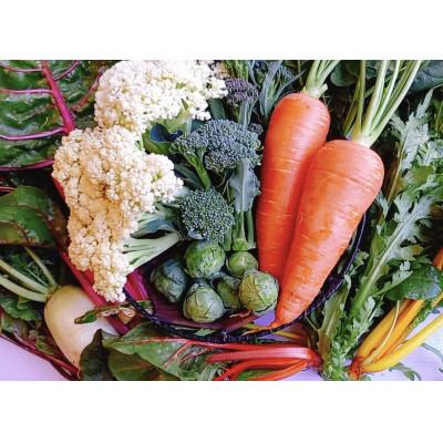 ふるさと納税 秦野市 【2027年1月〜発送】双葉農園の イチオシ の7種の野菜セット　from　名水の里　神奈川県秦野市