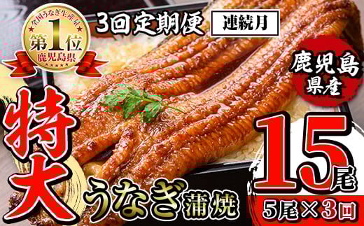 i1176-A ＜定期便・計3回(連続月)＞＼特大サイズ／鹿児島県産 うなぎ蒲焼 5尾セット ＜（約220g×5・計約1100g）×全3回＞ 定期便 たれ 山椒付きうなぎ 鰻 ウナギ 特大 特大サイズ 約220g 蒲焼き 国産 鹿児島県産 焼きたて 生産量日本一 真空パック おかず 晩御飯 特別な日 土用の丑の日 【薩摩川内鰻】