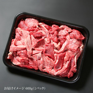 訳あり 飛騨牛 焼肉 切り落とし 600g 冷凍真空パック | 肉 お肉 切落し 不揃い 焼肉 焼き肉 やきにく 黒毛和牛 和牛 人気 おすすめ 牛肉 ギフト お取り寄せ 7日以内お届け[S842]