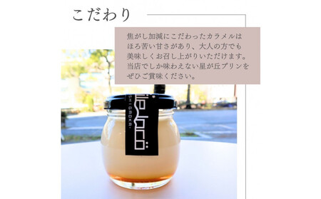 【星が丘プリン 6個セット】こだわり卵のとろけるプリン 冷凍 愛知 人気 高級