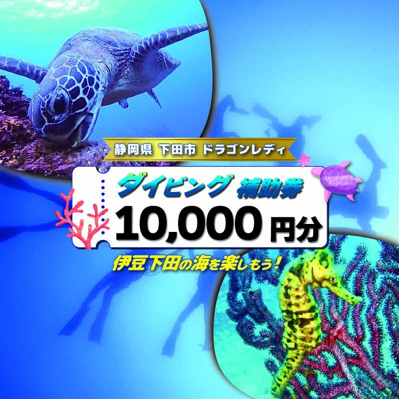 ダイビング 補助券 10,000円分 優待券 下田 体験 海 アウトドア スポーツ アクティビティ マリンスポーツ レジャー 旅行 観光 夏休み 白浜 ホテル伊豆急 内 ドラゴンレディ 静岡県 下田市 伊豆 PTS019-00015