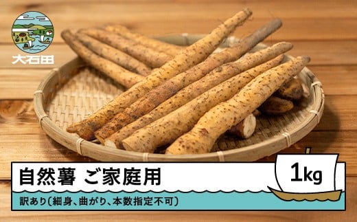 
            雪国育ちの自然薯 ご家庭用 スティック 約1㎏ 野菜 やまいも じねんじょ 山形県 大石田町産 oz-ziwxx1000
          