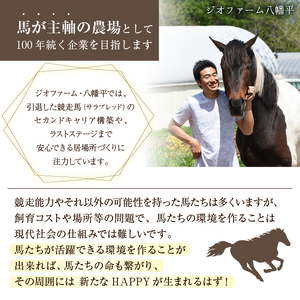 八幡平マッシュルーム1kg 色はおまかせ ／ ジオファーム きのこ 茸 キノコ 料理 