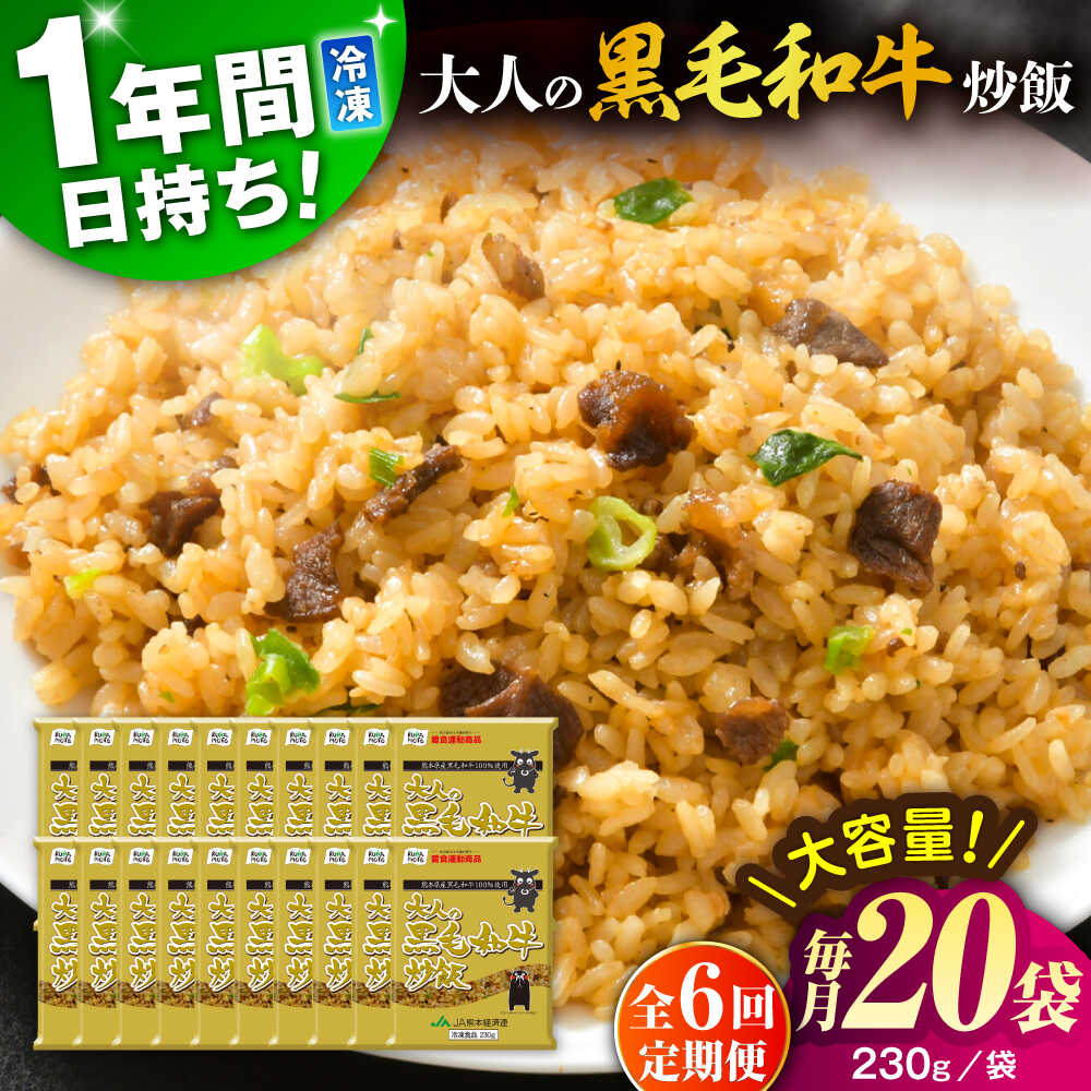 【ふるさと納税】【全6回定期便】熊本県産 こだわり炒飯 大人の黒毛和牛 炒飯 230g×20袋 合計4.6kg 冷凍食品 米飯 和牛 黒毛和牛 牛肉 チャーハン 惣菜 冷凍 中華 中華総菜 九州 熊本県 菊陽町 特産品【ユーユーフーズ株式会社】[BHCS022]