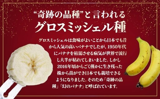 バナナ 桐箱入り 国産高級バナナ 贈答用５本入り