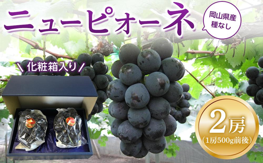 ぶどう 2026年  ニュー ピオーネ 2房（1房500g前後）産地直送 岡山県産 果物 ギフト たけまさぶどう園