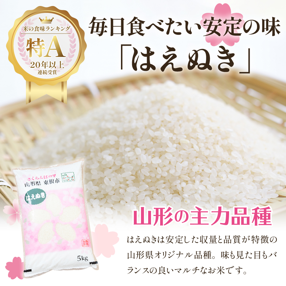 【令和6年産】はえぬき10kg (2025年2月前半送付)JA提供 山形県 東根市　hi002-028-021-1