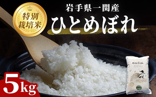 令和7年産 特別栽培 ひとめぼれ 5kg 清流が育んだお米 げいび清流米  岩手 お米 いわて コメ 精米 ブランド米 ご飯 白飯 ごはん お弁当 おにぎり 袋 東北 国産 岩手県 一関市