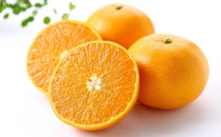 高級柑橘 温室せとか 秀3L品 10個入り［1201］