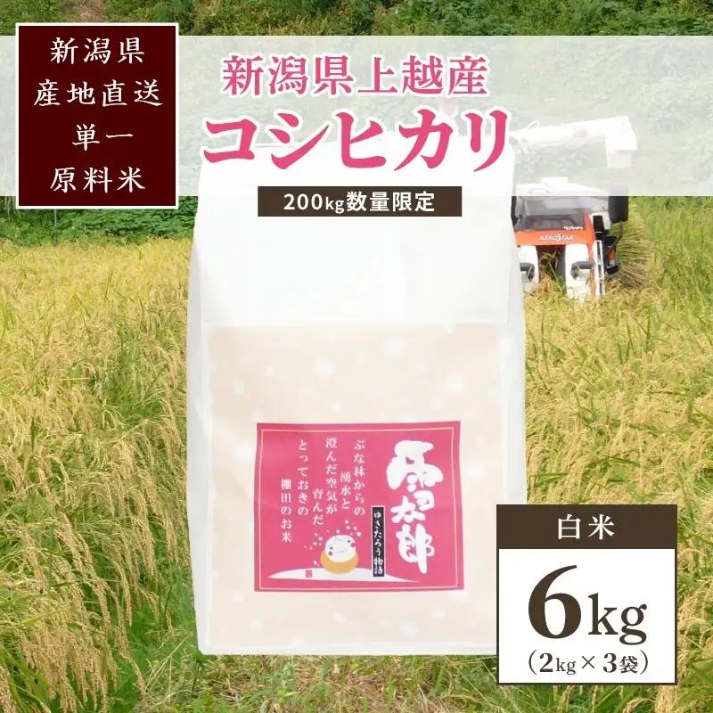 【数量限定】標高480m棚田米 コシヒカリ 精米 6kg コシヒカリ