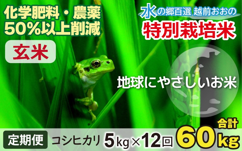 
                  【令和7年産 】【12ヶ月定期便】こしひかり 5kg × 12回 計 60kg【玄米】減農薬・減化学肥料 「特別栽培米」－地球にやさしいお米－
                