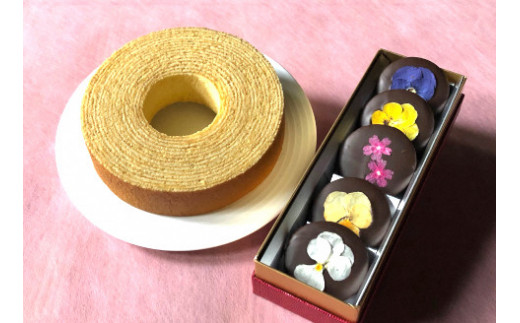 しょこら亭 ECHIGO花ショコラ＆バームクーヘンセット お菓子 菓子 スイーツ 贈答 1Z01014