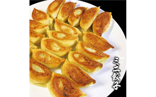 ミニ餃子三昧セット（M6）ミニ餃子3包み（6人前） ※着日指定不可｜ 餃子 焼餃子 ぎょうざ ギョウザ マルマン 丸満餃子 名物グルメ ソウルフード ギフト 贈答 贈り物 プレゼント お中元 お歳暮 茨城県 古河市 送料無料 _CO15