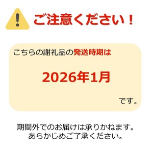 【2024年1月発送】訳ありだけど糖度13度以上！ご家庭用サンふじりんご5kg_H154(R5)