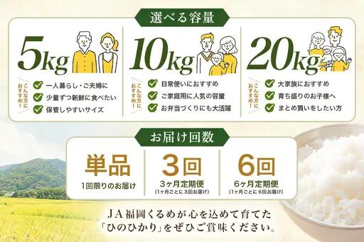 【3回定期便】【ふるさと納税】ひのひかり 米 お米 玄米 20kg 20キロ 福岡県産 うきは市 国産 精米 ご飯 ごはん おにぎり お弁当 人気 おすすめ 家庭用 送料無料 新米 ストック 厳選 農