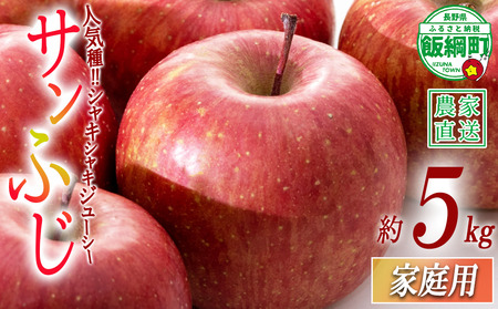りんご サンふじ 家庭用 5kg 沖縄県への配送不可 2026年12月中旬から2026年12月下旬頃まで順次発送予定 令和8年度収穫分 静谷りんご園 減農薬栽培 信州の環境にやさしい農産物認証 長野県