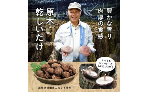 山陰浜田の特産「原木乾しいたけ」240g 干ししいたけ 椎茸 乾物 干し 乾燥しいたけ きのこ 原木栽培 原木椎茸 原木しいたけ 肉厚しいたけ 【010_1944】