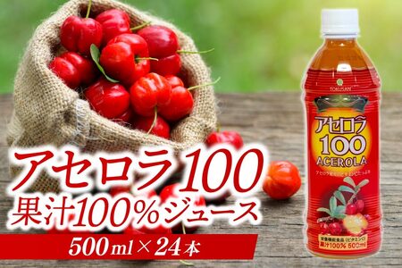 アセロラ100 ストレート100%ジュース(500ml×24本) (AD004)