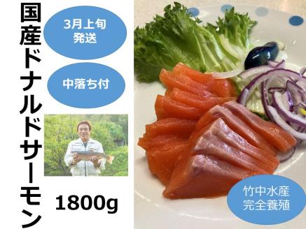 【3月上旬発送】国産ドナルドサーモン(生食用) 1800g 中落ち付 小分け ふるさと納税 サーモン 刺身 ふるさと納税 鮭 冷凍 さけ サケ 海鮮 魚 生食サーモン