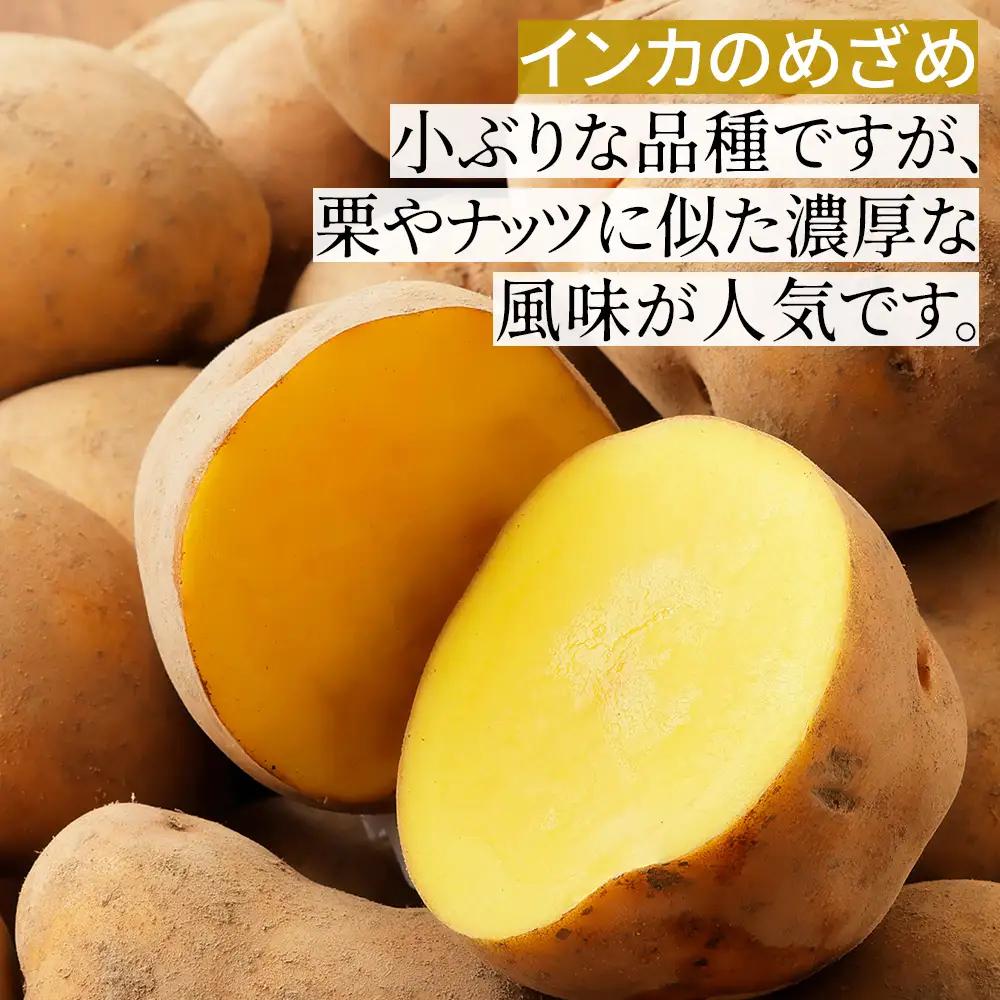 2026年産 先行予約 北海道産 インカのめざめ その他3種 じゃがいも 計10kg（2.5kg×4種） 上士幌町加藤農場 インカの目覚め 馬鈴薯 芋 イモ 野菜 詰め合わせ ◆2026年11月配送予