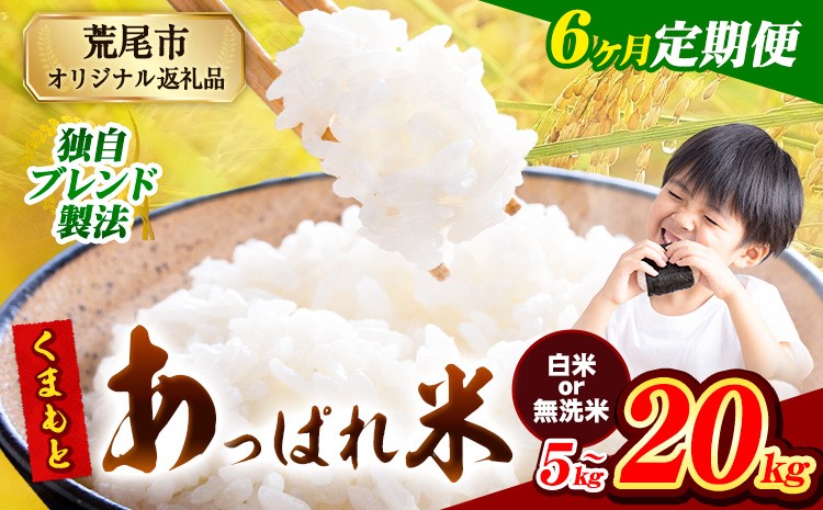 
            【6ヶ月定期便】無洗米 も選べる 熊本県産 くまもとあっぱれ米 ブレンド米 5kg 10kg 15kg 20kg 熊本県産 ふるさと納税 無洗米 白米 精米 米 こめ ふるさとのうぜい コメ お米 おこめ《お申込み月の翌月から発送予定》
          
