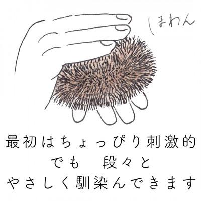 ふるさと納税 高野町 高田耕造商店　しゅろのやさしいたわし　からだ用　檜柄　短 |  | 03