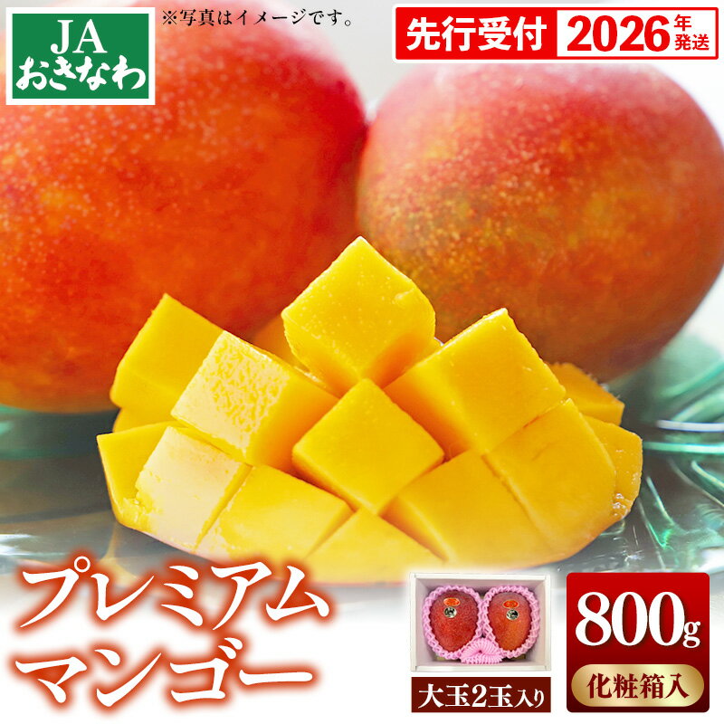 【ふるさと納税】【化粧箱入】【先行受付・2026年発送】JAおきなわプレミアムマンゴー 約800g【大玉2玉】- 先行予約 沖縄 産地直送 季節の果物 旬の味覚 アップルマンゴー 贈り物 プレゼント ギフト 沖縄県 八重瀬町