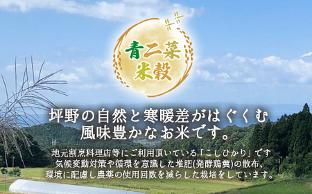 山の湧き水 寒暖差 山里 山里の米･坪野米 R8年産 環境保全米こしひかり 20kg　※北海道・沖縄・離島への配送不可 ※2026年10月～発送